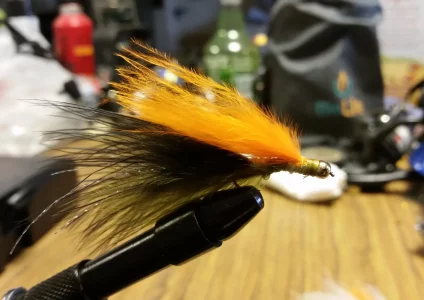 close-up-fishing-bait-black-equipment-table 1