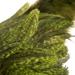 Whiting Coq De Leon Hen SH/C Softhackle with Chickabou Bronze Grade - Image 3